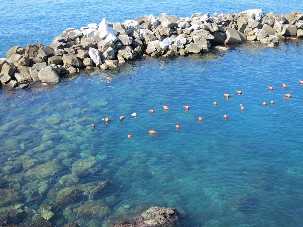 Appartement Voce Del Mare à Riomaggiore Chambre photo